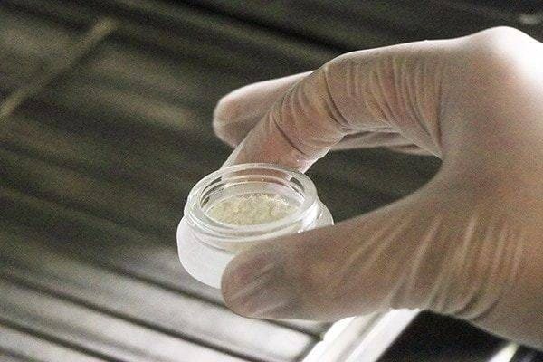 cbd-isolate-in-hand.jpg