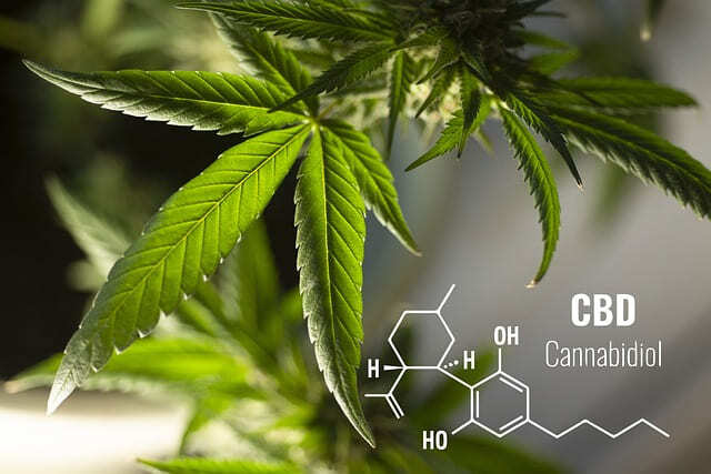 cbd-molicule.jpg