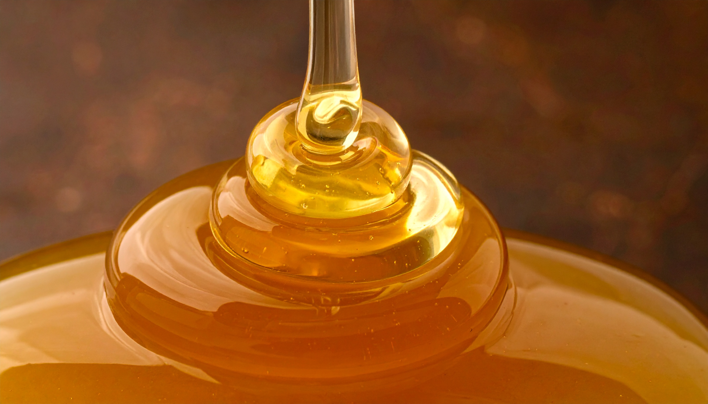 close up of organic tapioca syrup being poured in a thin stream viscous and gol - Steve's Goods