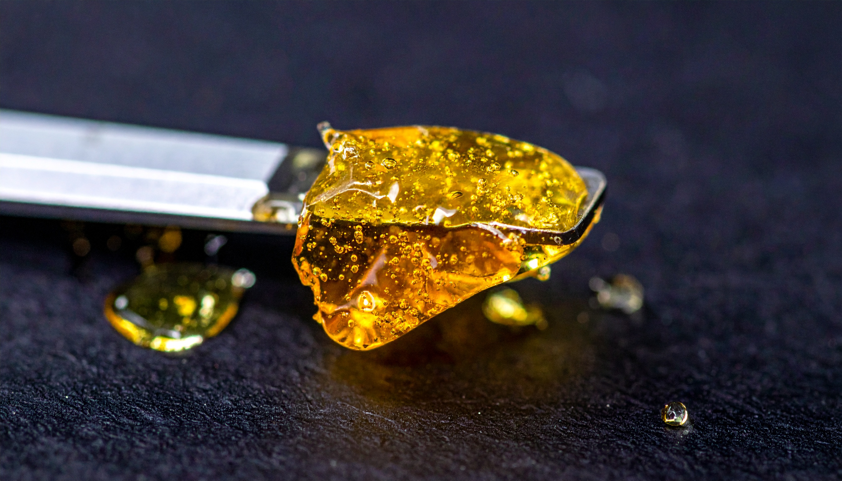 golden cbd concentrate on a dab tool  translucent and pure  macro shot on dark b - Steve's Goods