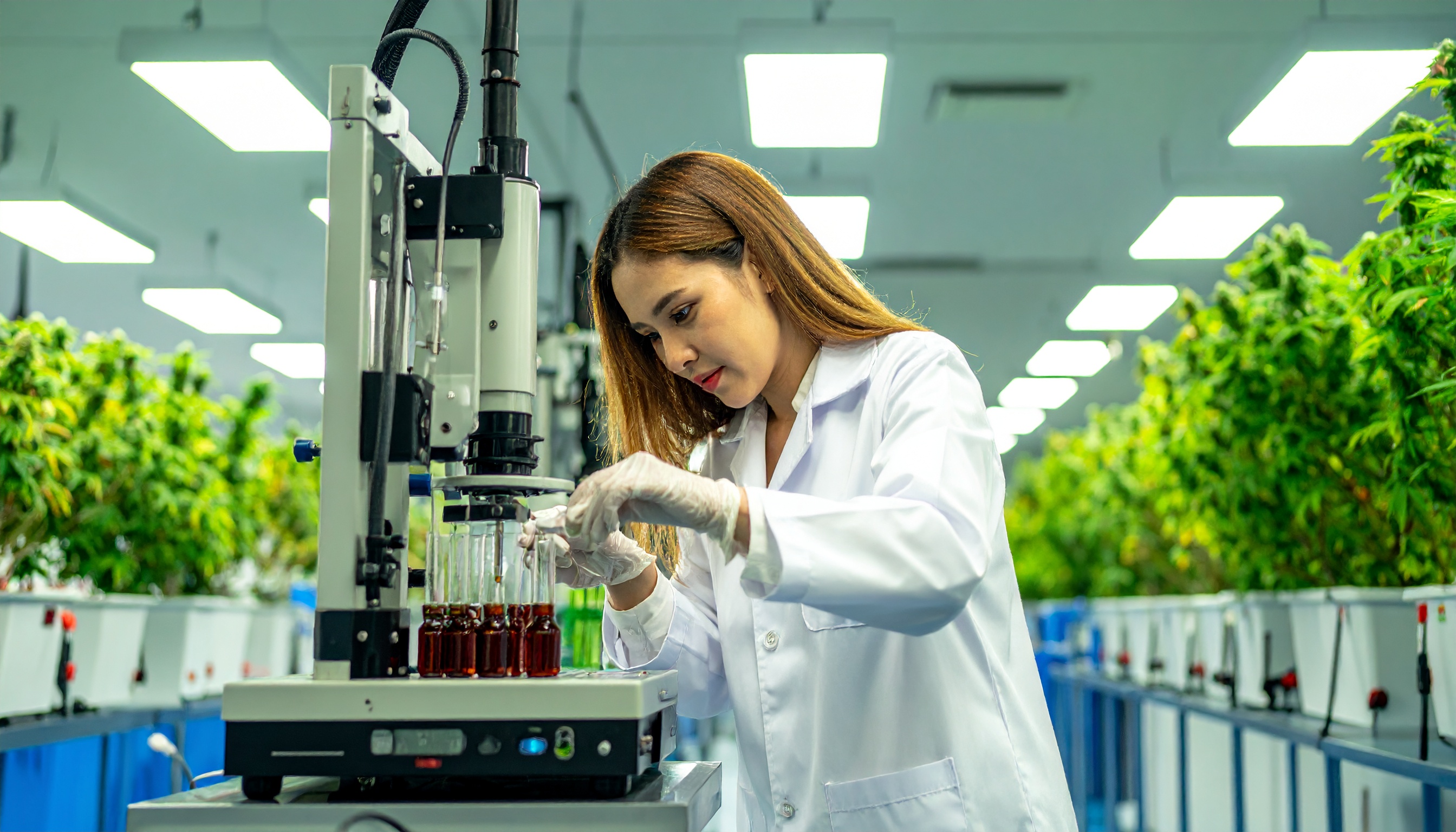 laboratory chromatography equipment running a hemp sample analysis scientific precis - Steve's Goods CBD