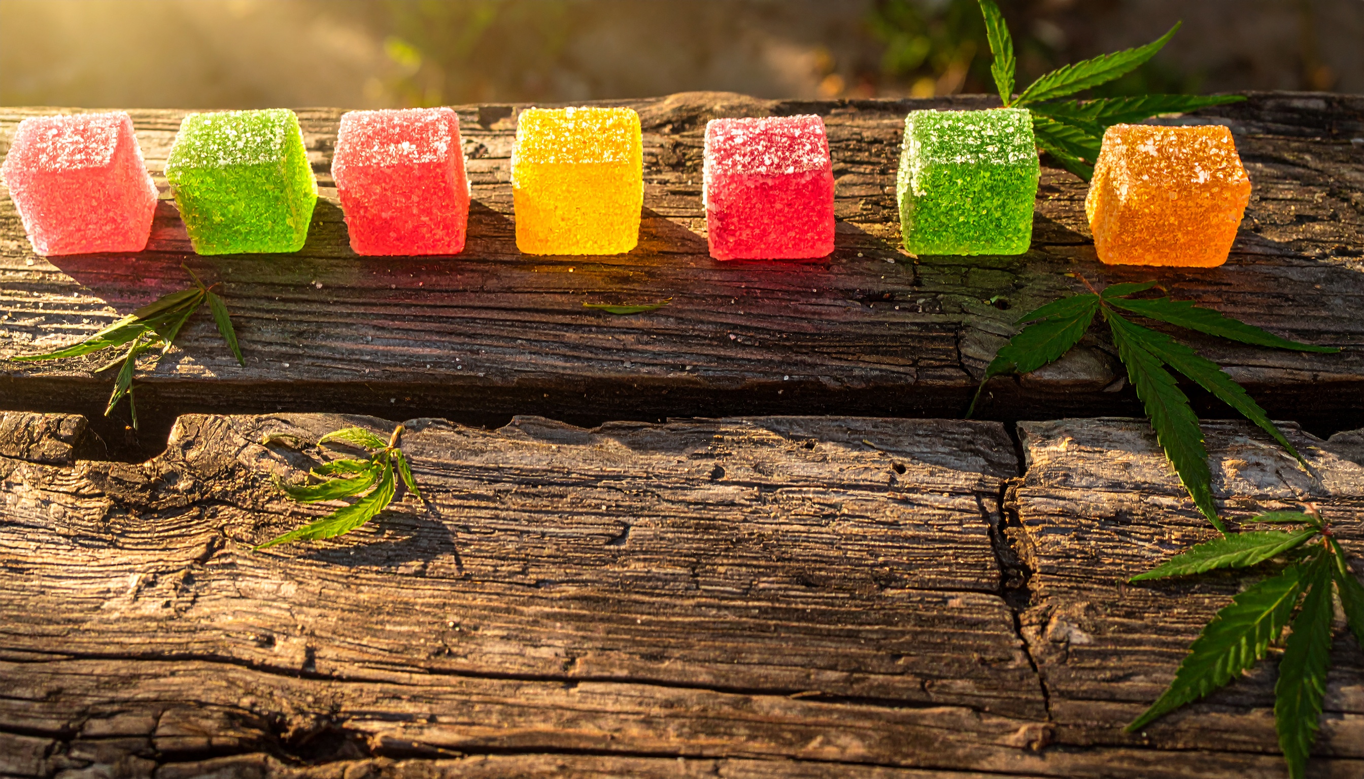 row of different colored cube shaped sugar coated gummies lined up on a rustic wooden - Steve's Goods CBD