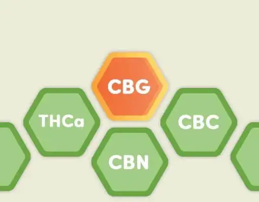 steves-goods-cbg-benefits-chart.jpg